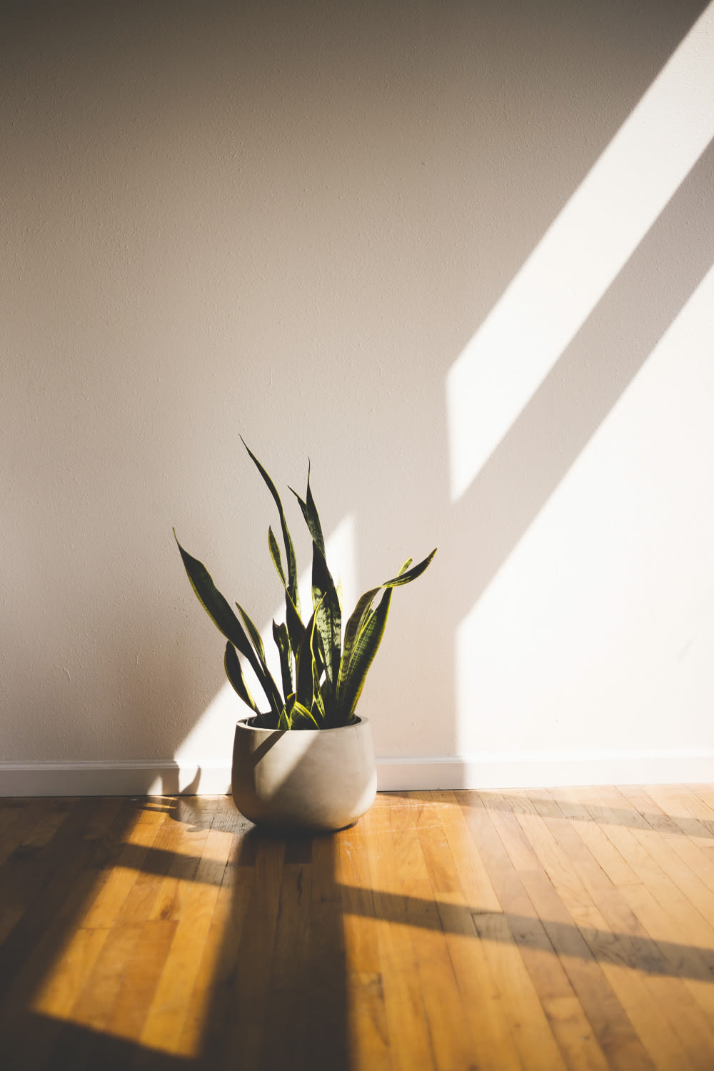 Energy-Efficient Flooring Options for Year-Round Comfort in Nashville ...